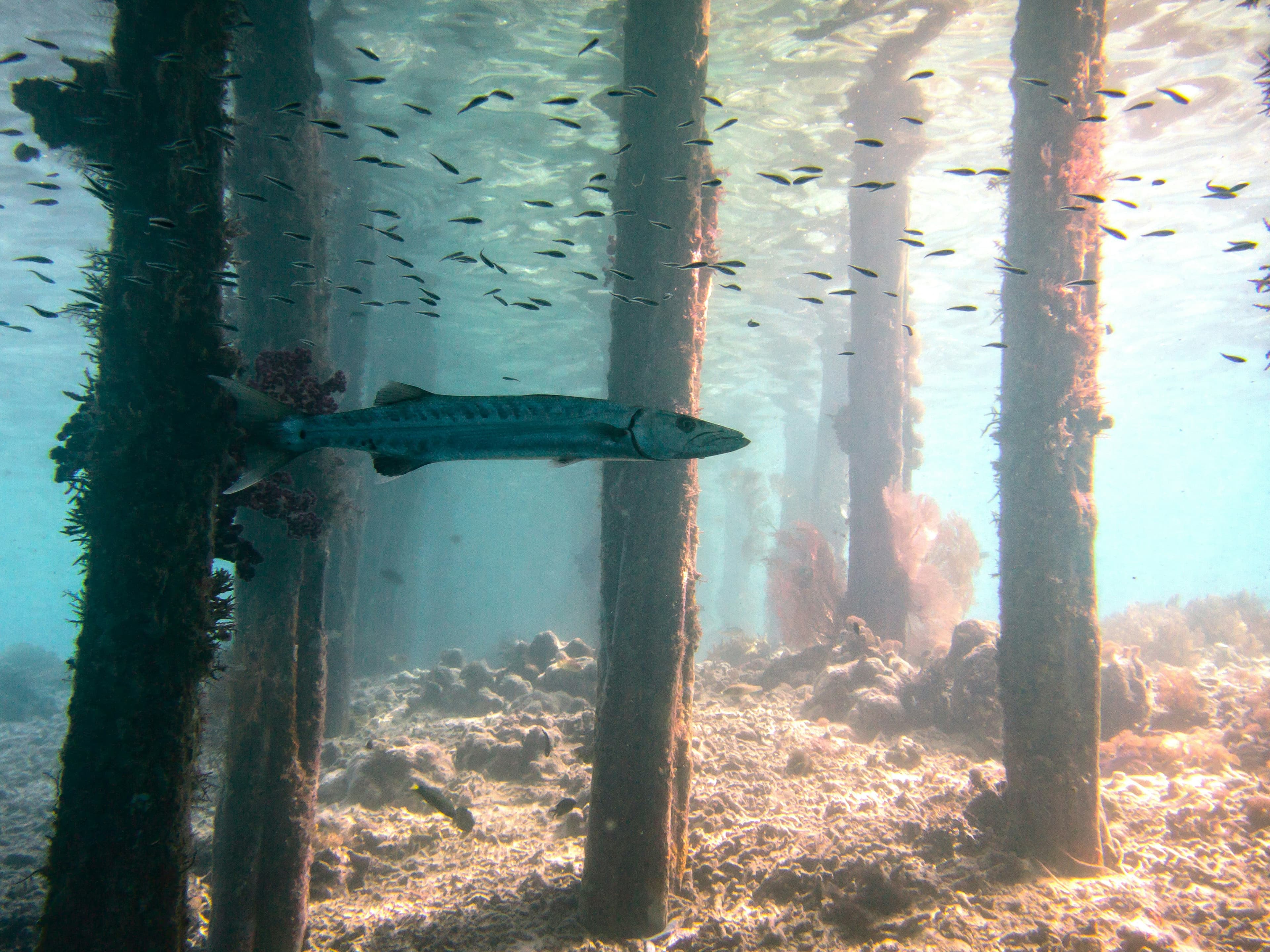 Underwater Support